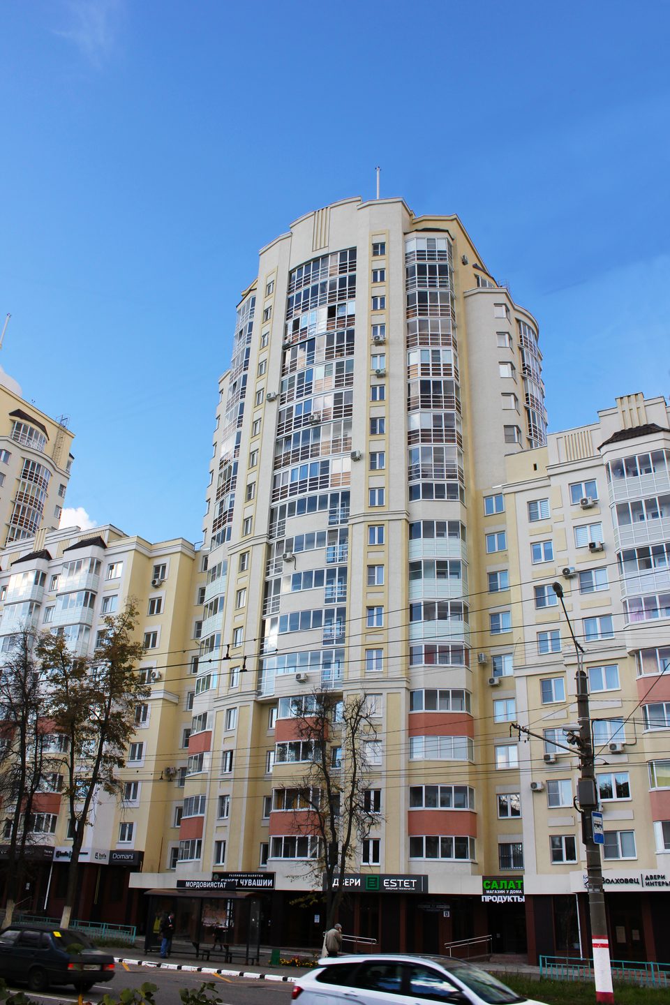 г. Саранск, Васенко