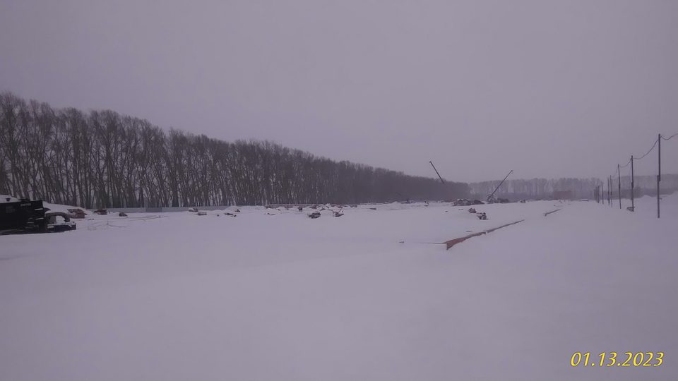 Березки" д.11