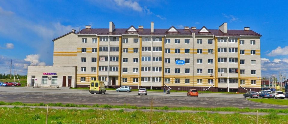 г. Тамбов, Улица Мичуринская