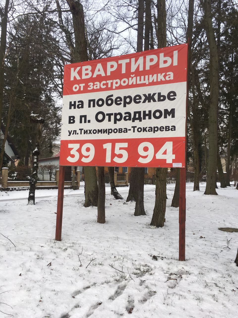 г. Светлогорск, улица Тихомирова-Токарева