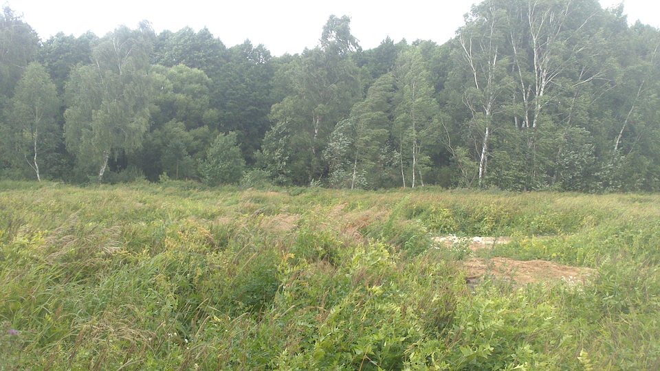 МО, д. Бережки, тер Каскад Парк