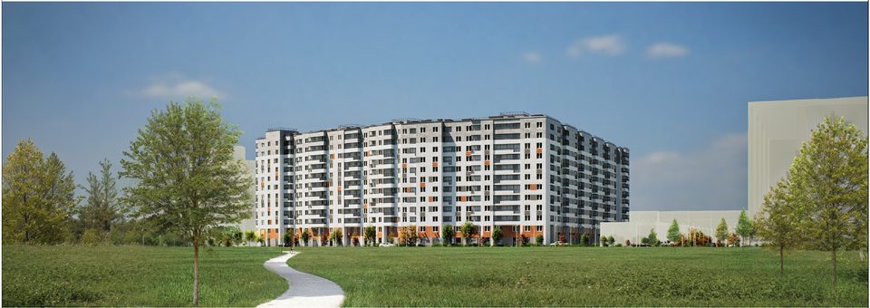 Клюква.Парк