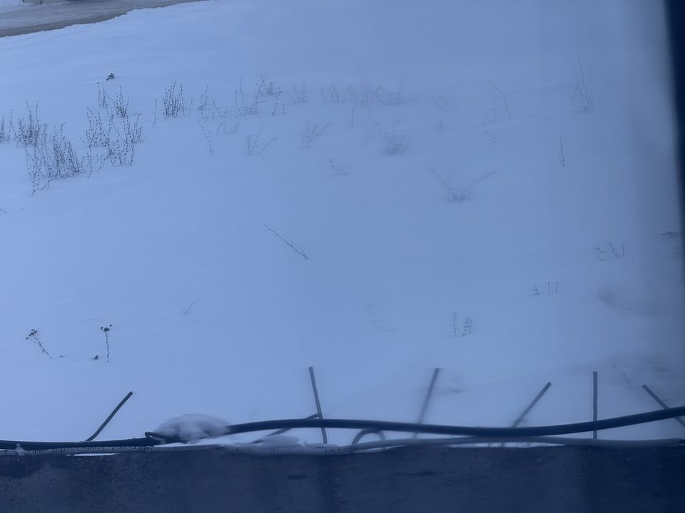 г. Маркс, Ул. 1 я линия